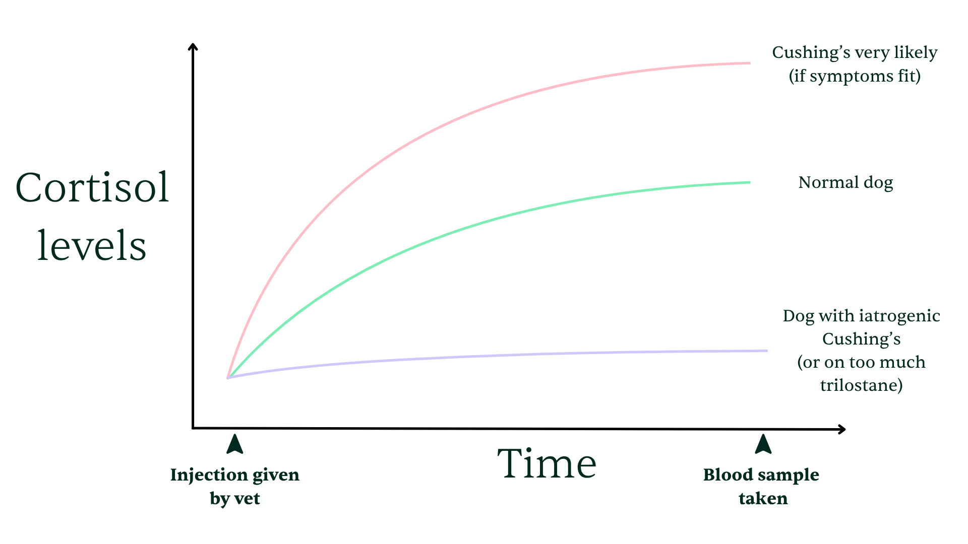 ACTH-stim-test-result-example-image